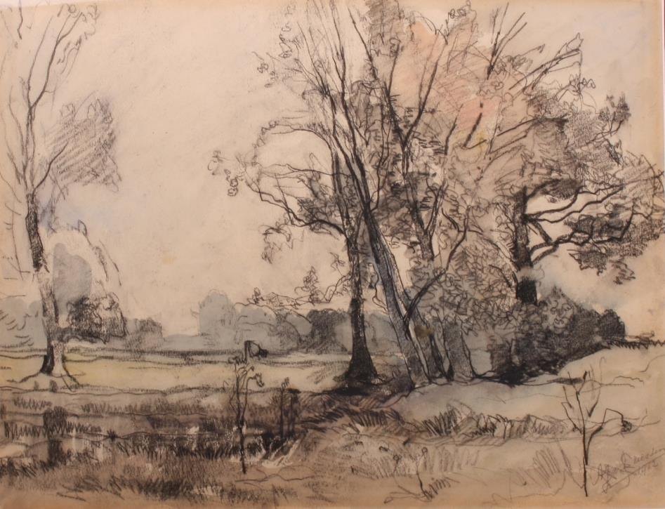 A landscape drawing by Van Driesten