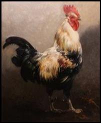 Portrait of a Rooster