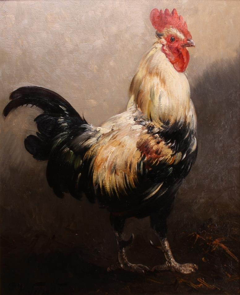 Portrait of a Rooster