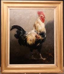 Portrait of a Rooster